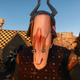 Illustration for article titled iThe Witcher 3s/i NPCs Get Weird When Youre Not Looking